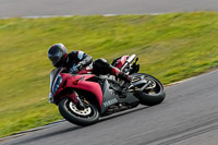 PJ-Motorsport-2019;anglesey-no-limits-trackday;anglesey-photographs;anglesey-trackday-photographs;enduro-digital-images;event-digital-images;eventdigitalimages;no-limits-trackdays;peter-wileman-photography;racing-digital-images;trac-mon;trackday-digital-images;trackday-photos;ty-croes